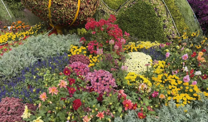 1761274101146229.jpg 图片2.JPG